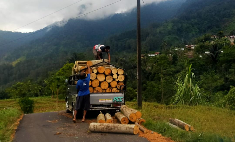 pemanenan hasil hutan