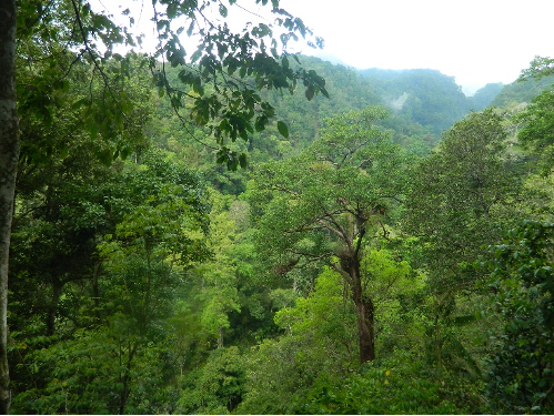 Medsos dan pengembangan wisata alam 3
