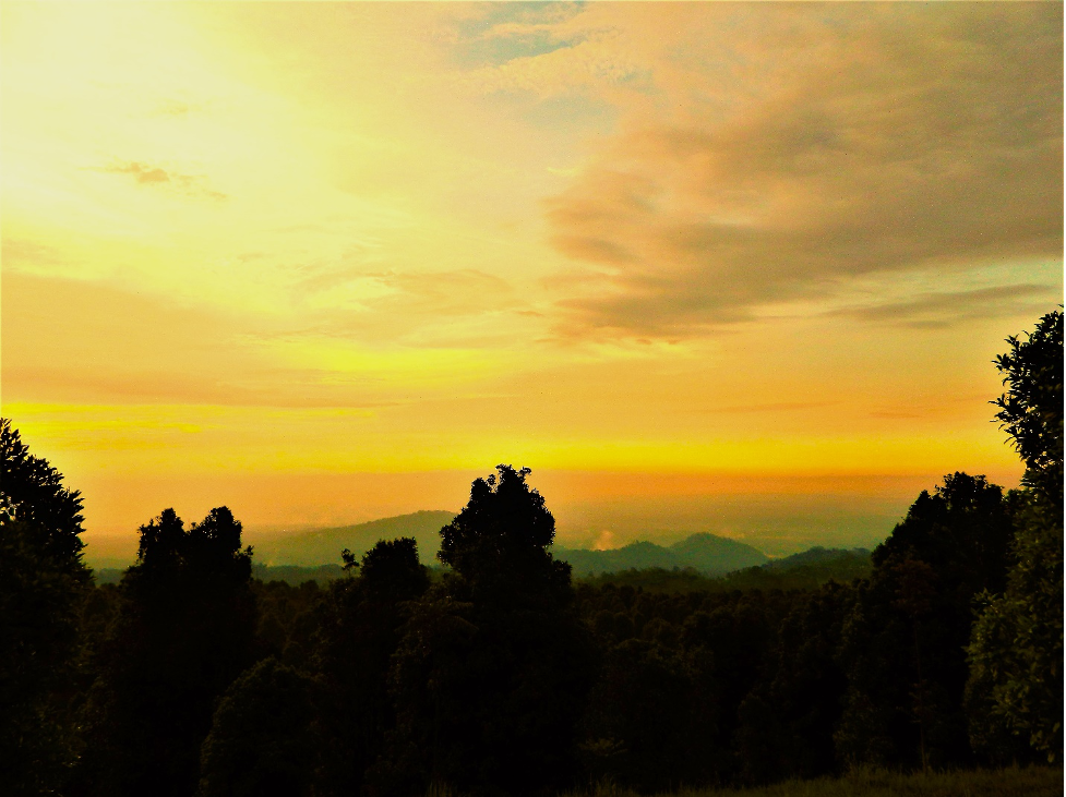 Wisata dan agroforestri 2