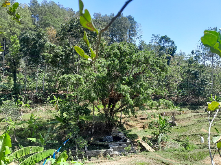 Kajian HVCA dalam Implementasi Safeguard Lingkungan dan Sosial 1