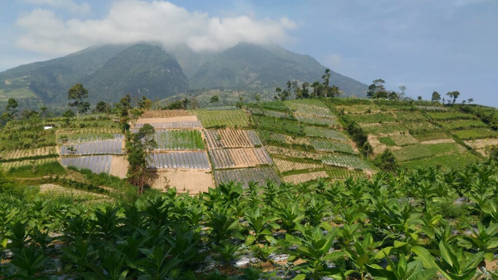 Resiliensi: Bumi Kita Yang Hebat