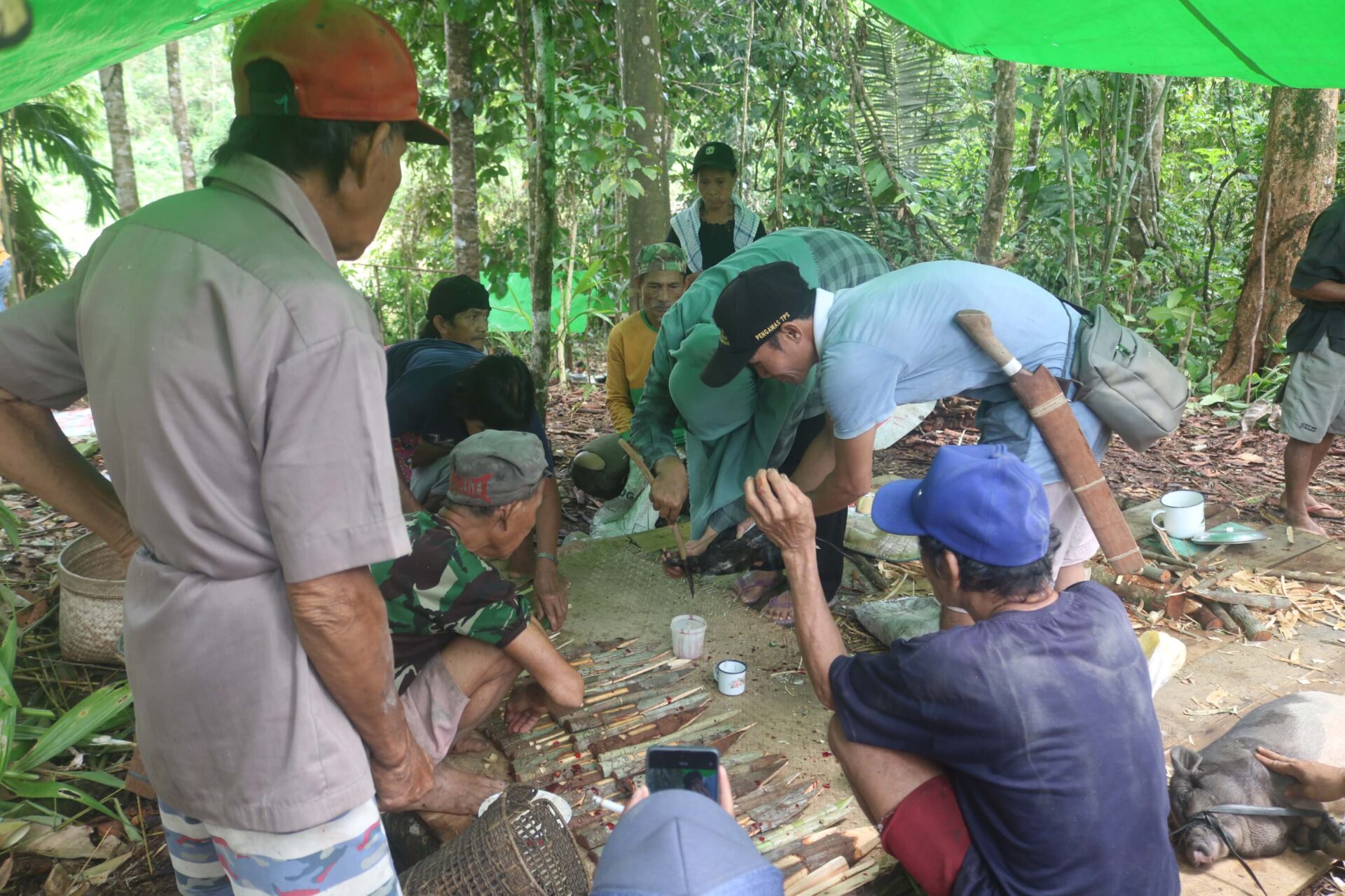 muli ke buah penyembelihan 4