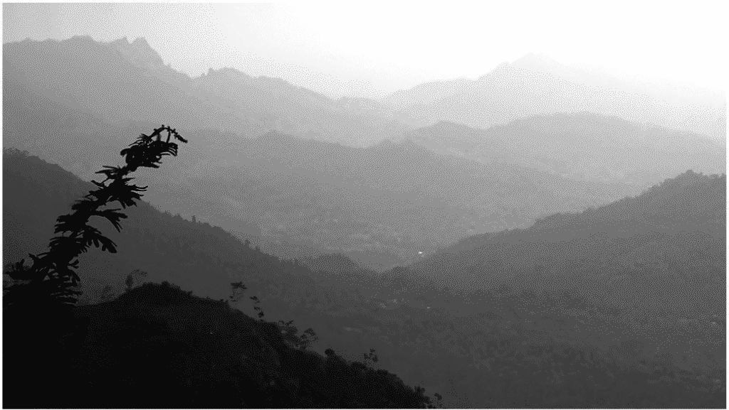 Review Buku: Merajut Harapan di Puncak-Puncak Bukit