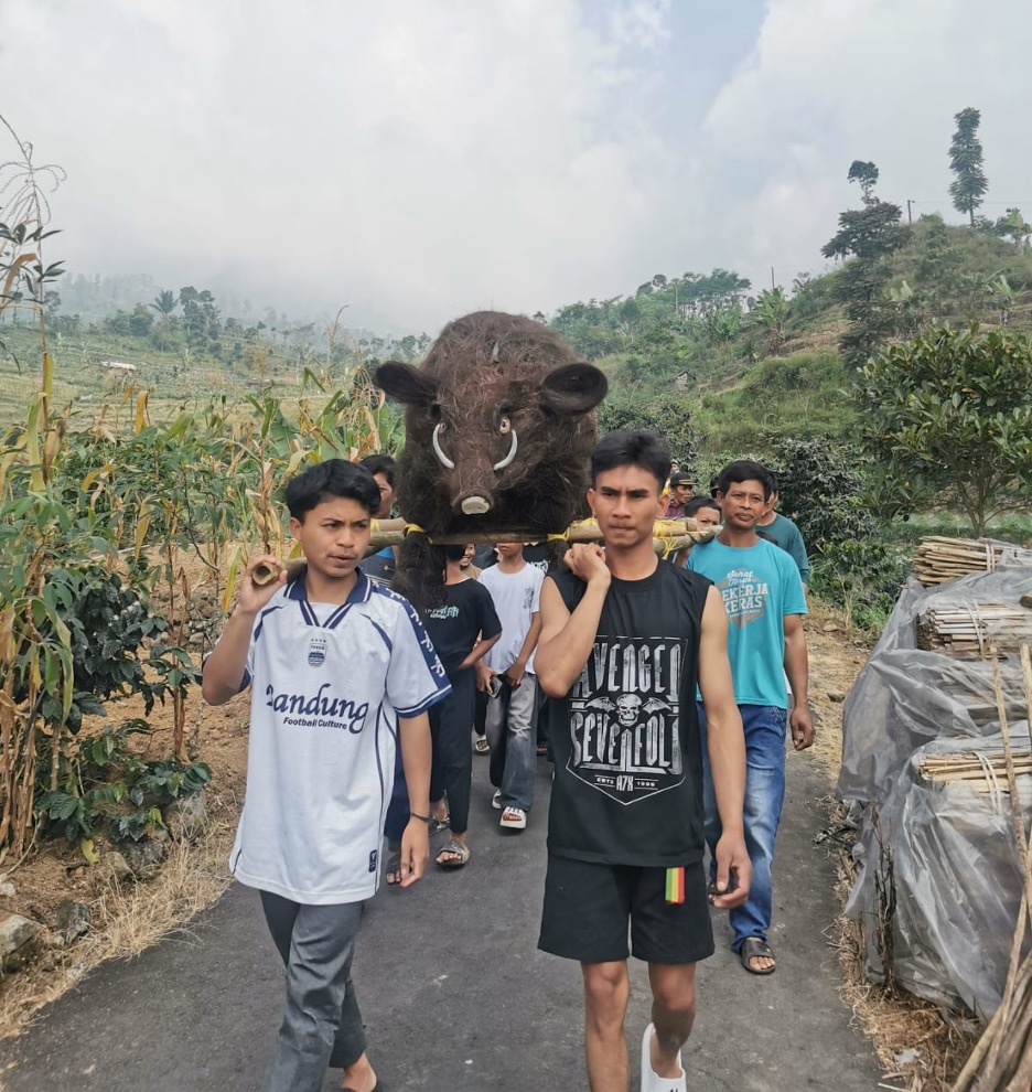 Kemongkong: Merawat Batas antara Ladang, Hutan, dan Babi Hutan di Petungkriyono