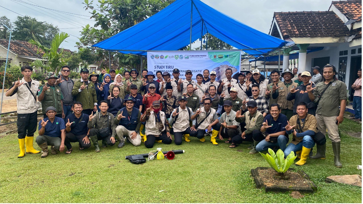 Ketika Ruang Hidup Menyempit: Upaya Menjaga Harmoni Manusia dan Gajah di Sumatera Selatan