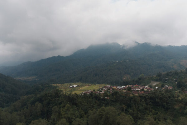 Foto Drone Rumah Bibit 2